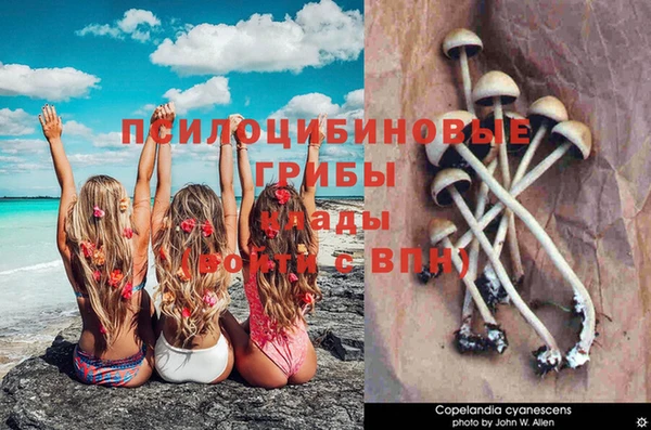 ECSTASY Баксан
