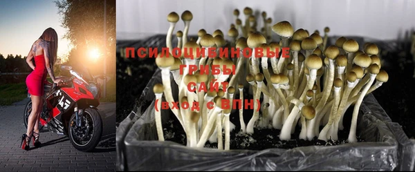 тгк Балахна